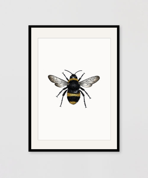 BEE COLOUR