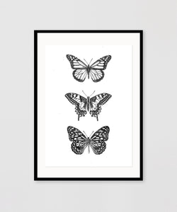 BUTTERFLIES