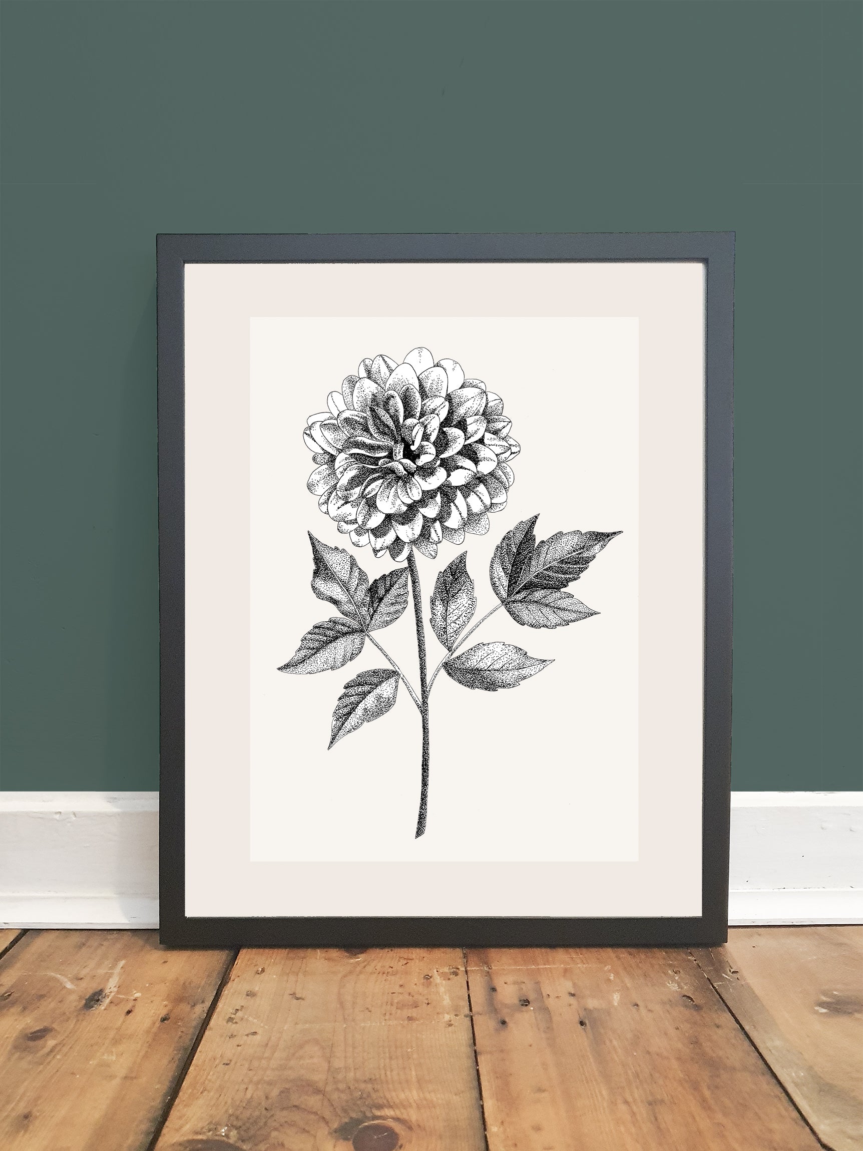 DAHLIA – Alpha Beta Studio